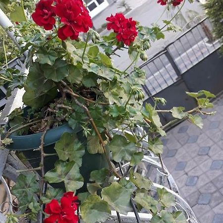 Homestay Izolda 바투미 외부 사진