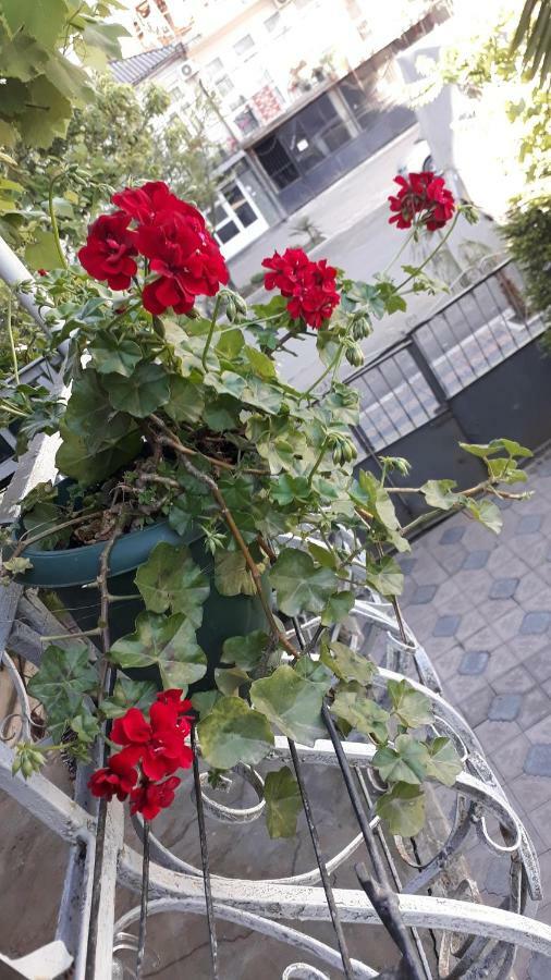 Homestay Izolda 바투미 외부 사진